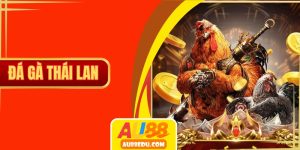 đá gà thái lan