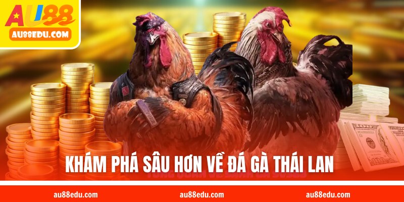 Khám phá thông tin về đá gà Thái Lan 